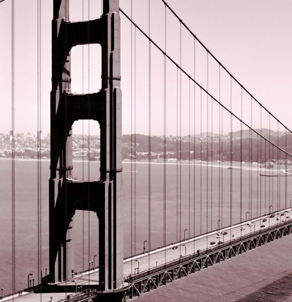 Golden Gate Pelicans