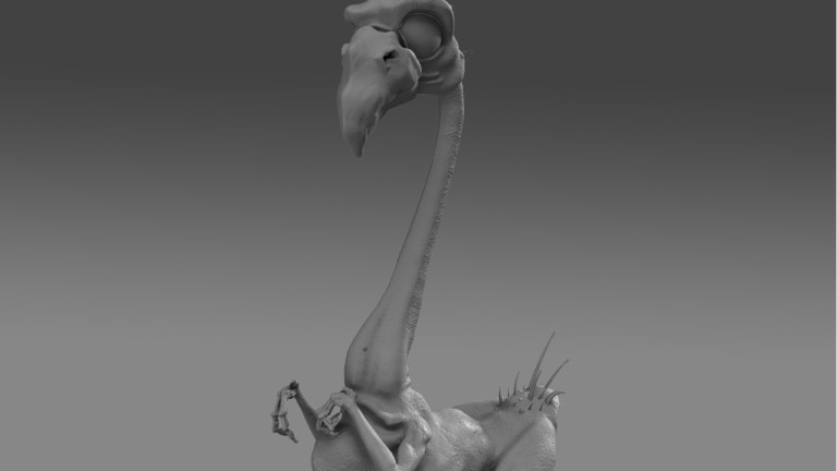 Prehistoric Flamingo 3d Model